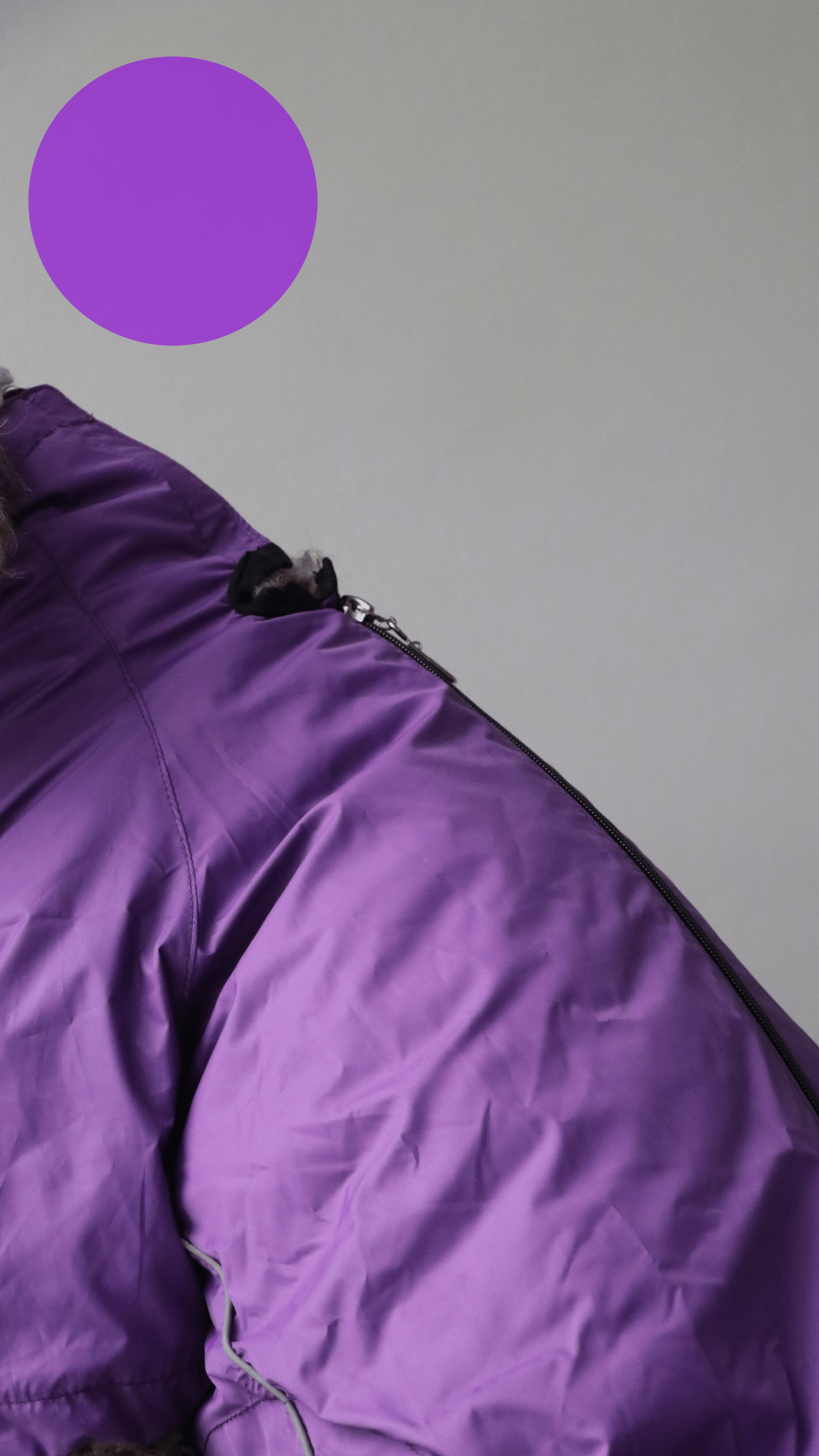 PURPLE YAĞMURLUK